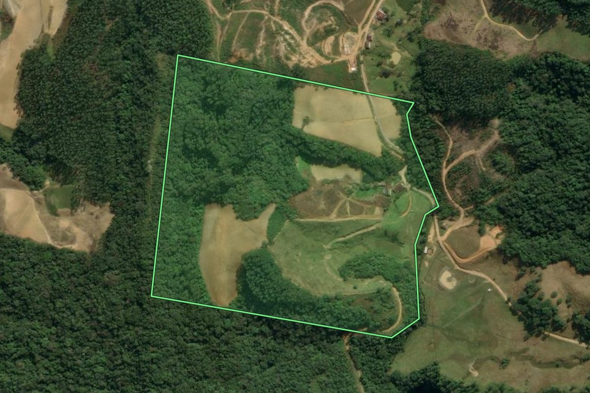 Imagem de satélite do imóvel rural em Presidente Nereu (SC), com o contorno declarado no CAR desenhado por cima.