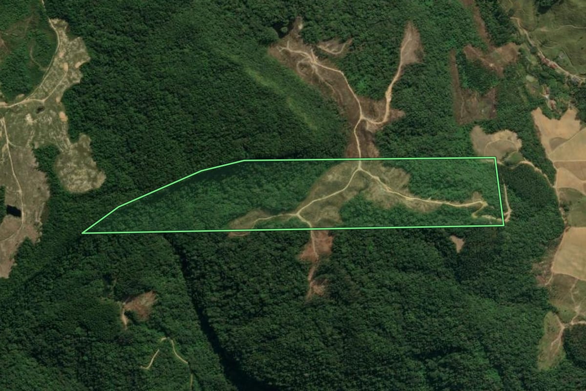 Imagem de satélite do imóvel rural em Presidente Nereu (SC), com o contorno declarado no CAR desenhado por cima.