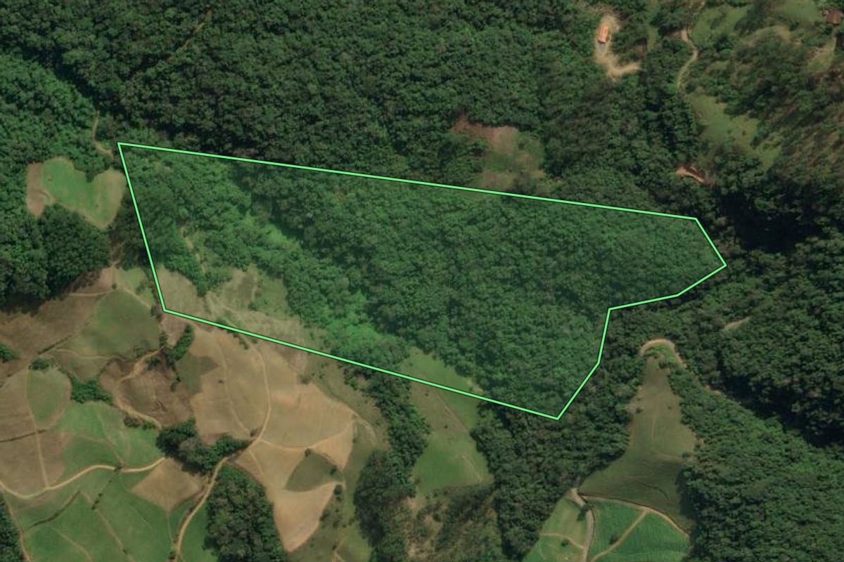 Imagem de satélite do imóvel rural em Presidente Nereu (SC), com o contorno declarado no CAR desenhado por cima.