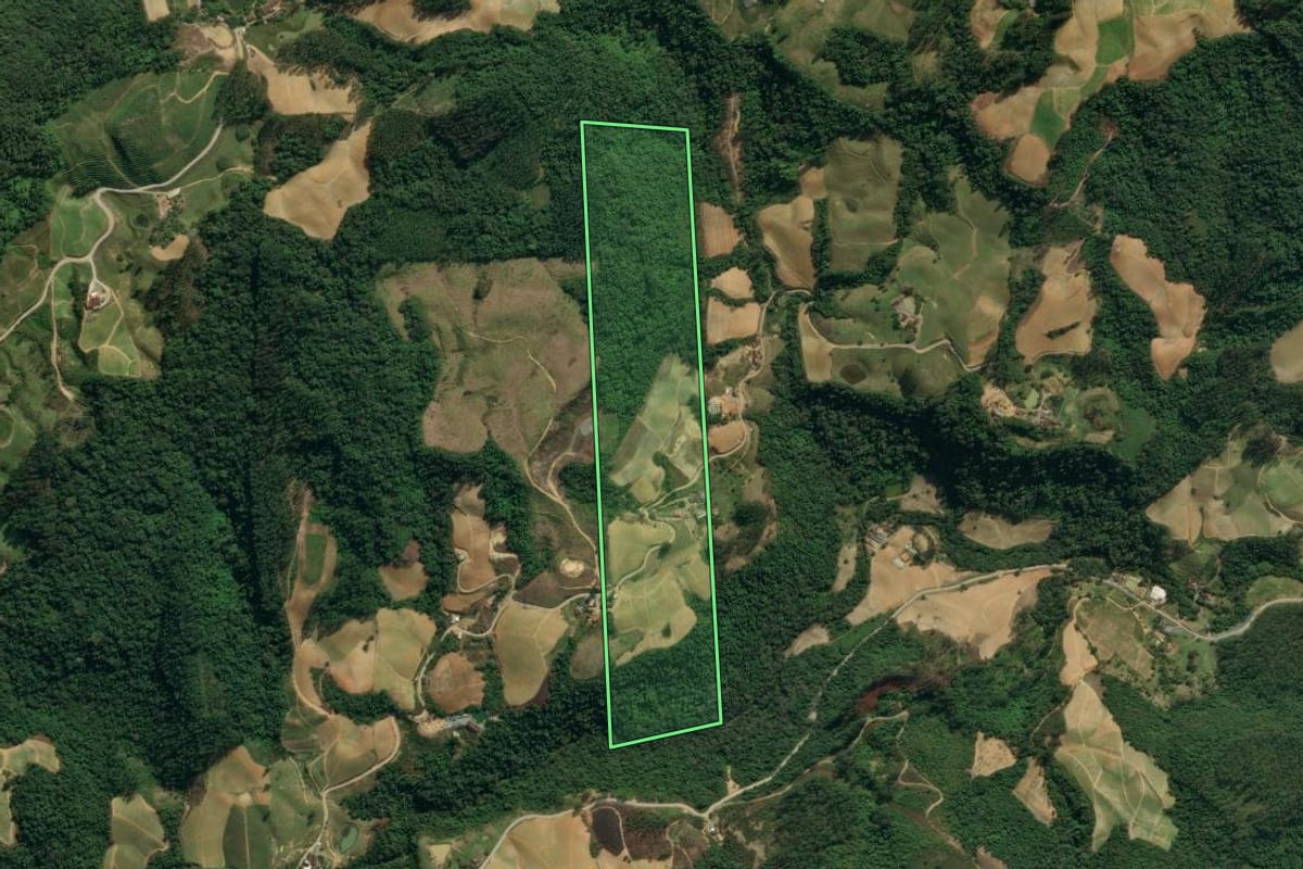 Imagem de satélite do imóvel rural em Presidente Nereu (SC), com o contorno declarado no CAR desenhado por cima.