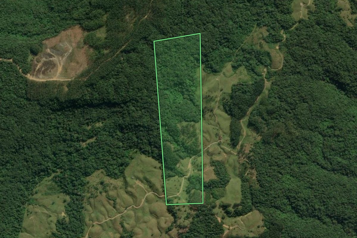 Imagem de satélite do imóvel rural em Presidente Nereu (SC), com o contorno declarado no CAR desenhado por cima.