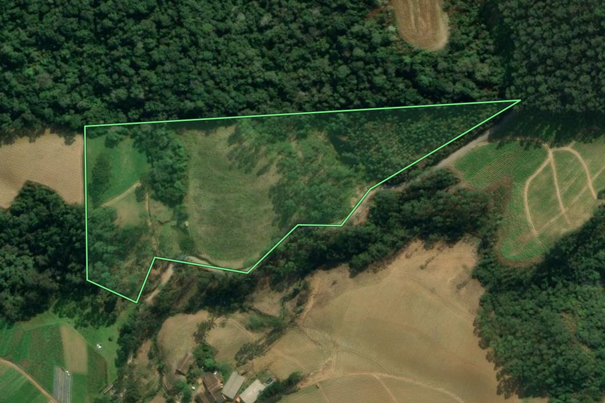 Imagem de satélite do imóvel rural em Presidente Nereu (SC), com o contorno declarado no CAR desenhado por cima.
