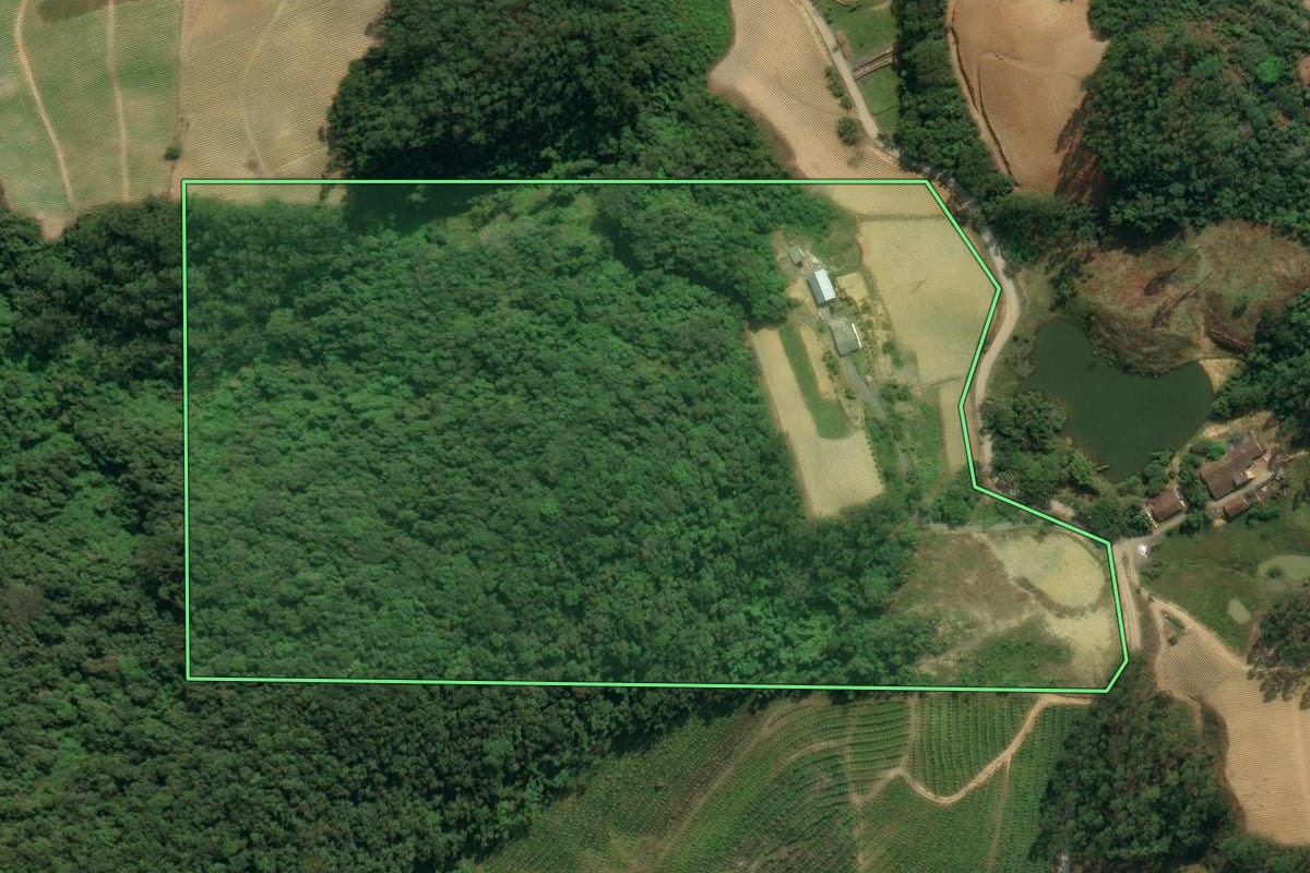 Imagem de satélite do imóvel rural em Presidente Nereu (SC), com o contorno declarado no CAR desenhado por cima.