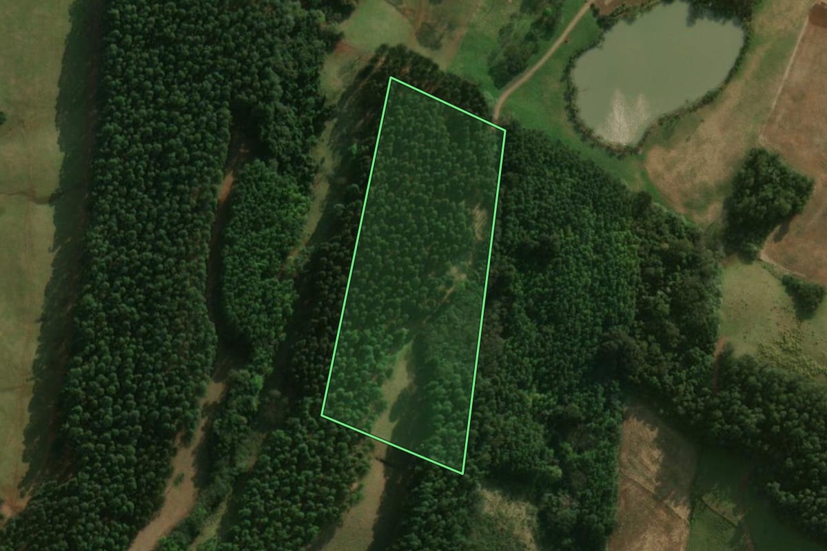 Imagem de satélite do imóvel rural em Princesa (SC), com o contorno declarado no CAR desenhado por cima.