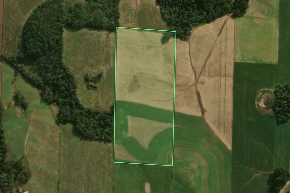 Imagem de satélite do imóvel rural em Princesa (SC), com o contorno declarado no CAR desenhado por cima.