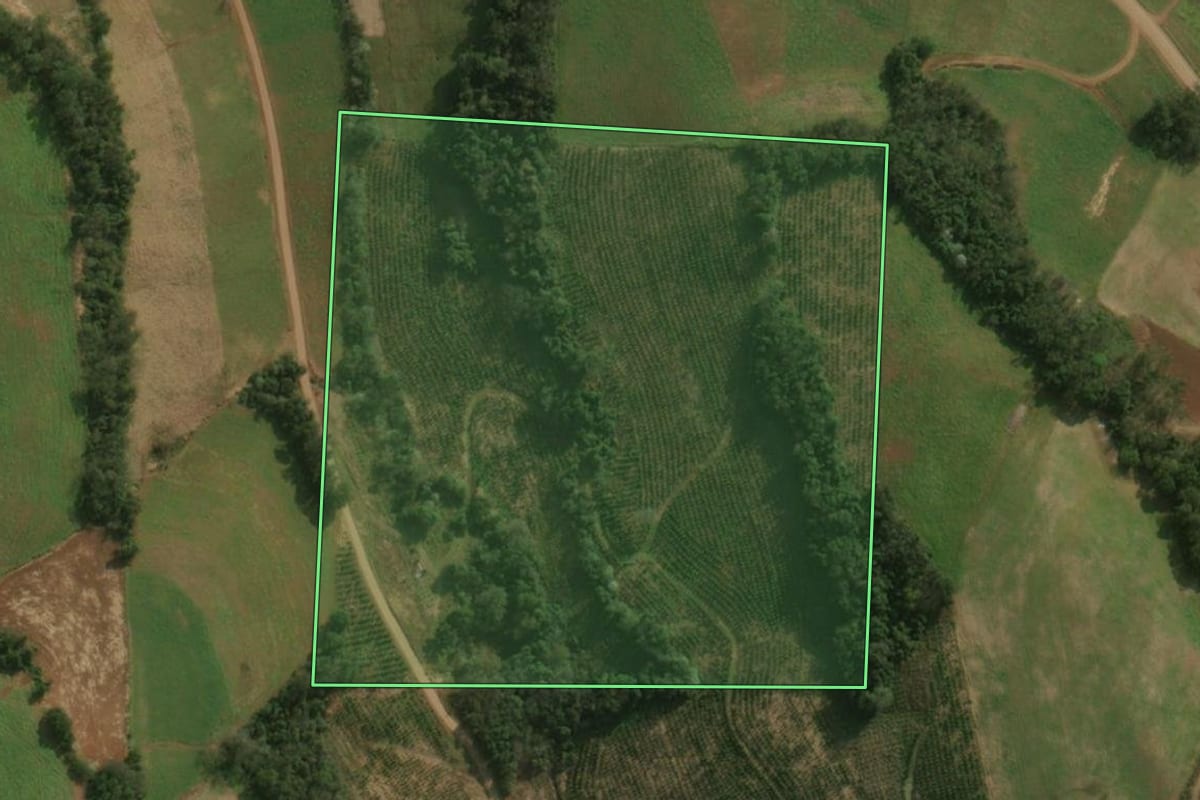Imagem de satélite do imóvel rural em Princesa (SC), com o contorno declarado no CAR desenhado por cima.
