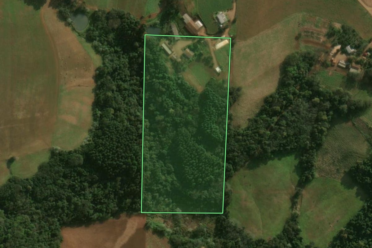 Imagem de satélite do imóvel rural em Princesa (SC), com o contorno declarado no CAR desenhado por cima.