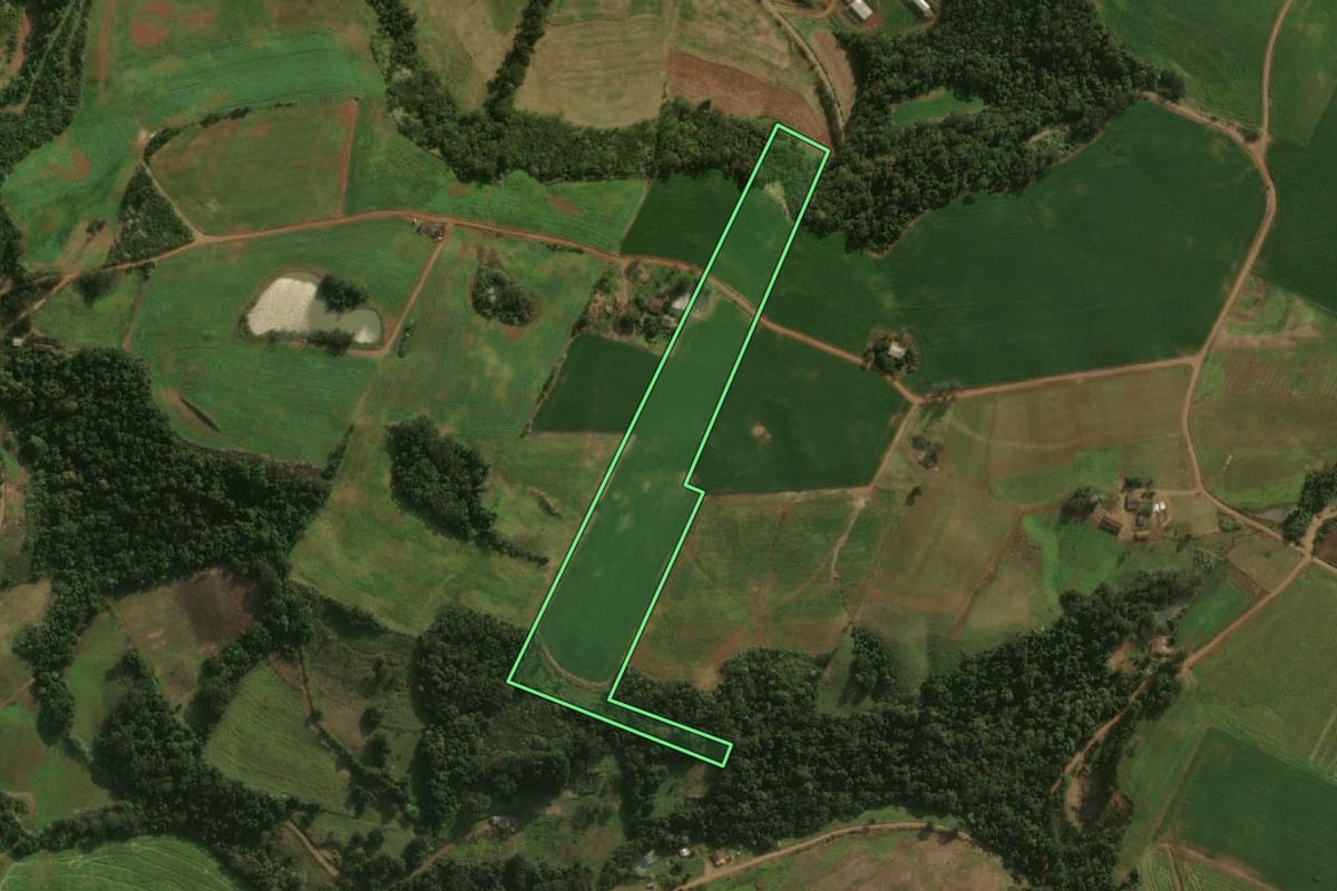 Imagem de satélite do imóvel rural em Princesa (SC), com o contorno declarado no CAR desenhado por cima.