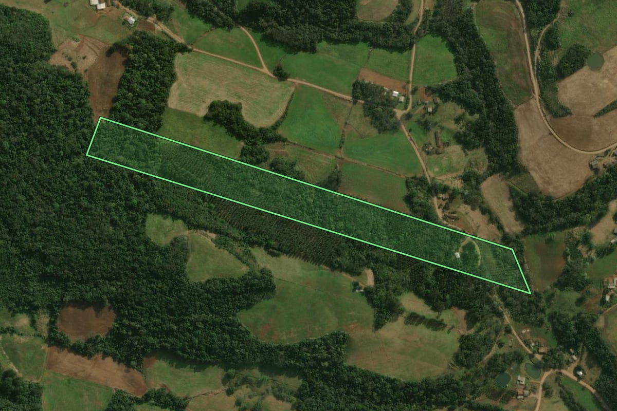 Imagem de satélite do imóvel rural em Princesa (SC), com o contorno declarado no CAR desenhado por cima.