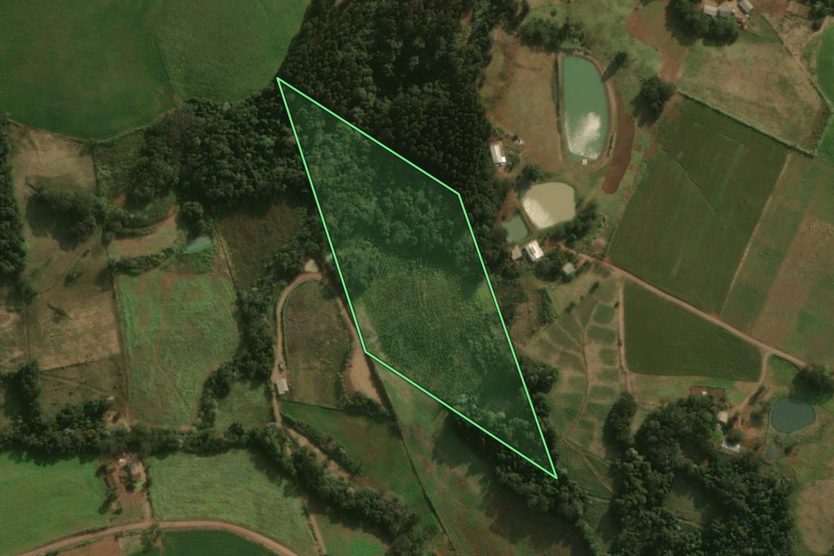 Imagem de satélite do imóvel rural em Princesa (SC), com o contorno declarado no CAR desenhado por cima.
