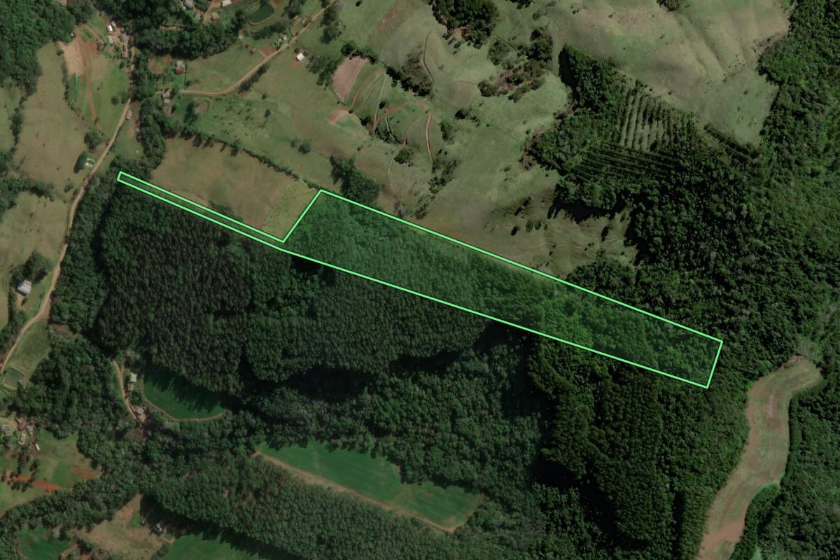 Imagem de satélite do imóvel rural em Quilombo (SC), com o contorno declarado no CAR desenhado por cima.