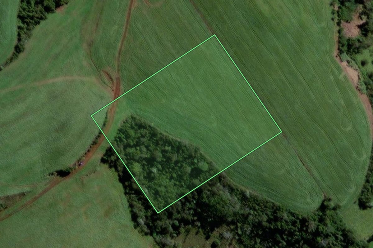 Imagem de satélite do imóvel rural em Quilombo (SC), com o contorno declarado no CAR desenhado por cima.