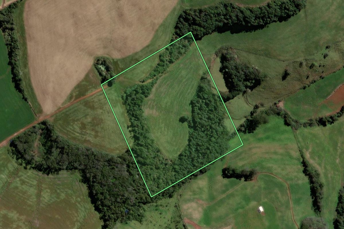 Imagem de satélite do imóvel rural em Quilombo (SC), com o contorno declarado no CAR desenhado por cima.
