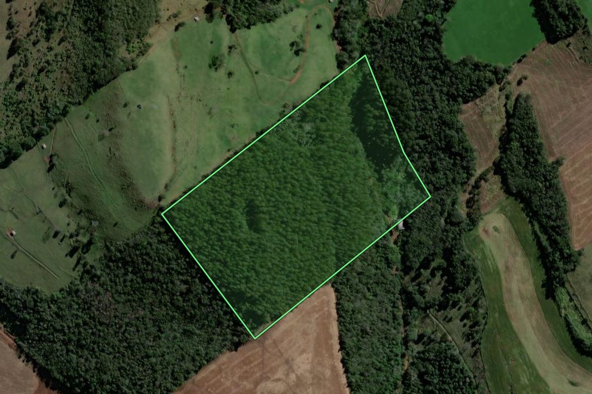 Imagem de satélite do imóvel rural em Quilombo (SC), com o contorno declarado no CAR desenhado por cima.