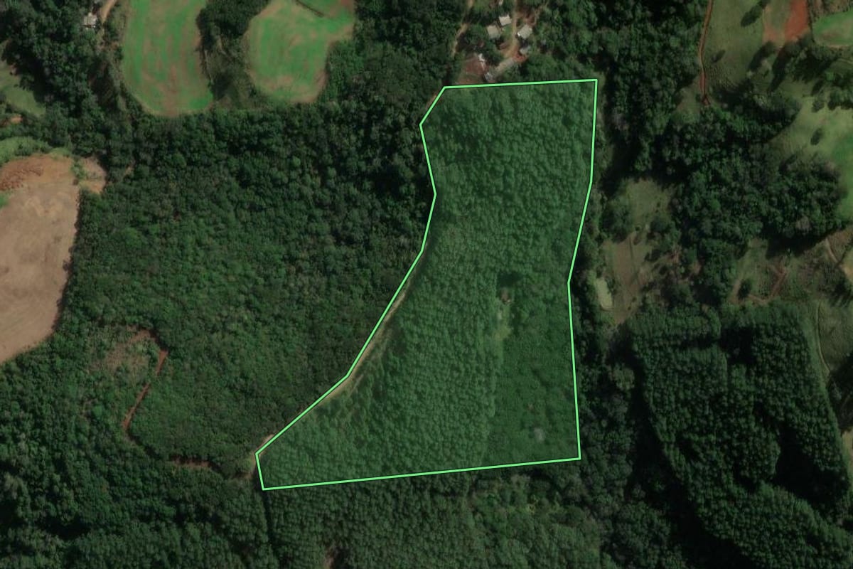 Imagem de satélite do imóvel rural em Quilombo (SC), com o contorno declarado no CAR desenhado por cima.
