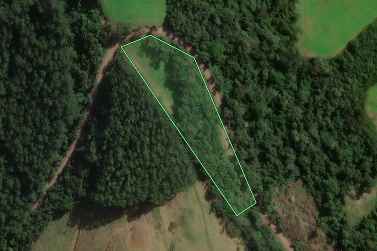 Imagem de satélite do imóvel rural em Quilombo (SC), com o contorno declarado no CAR desenhado por cima.