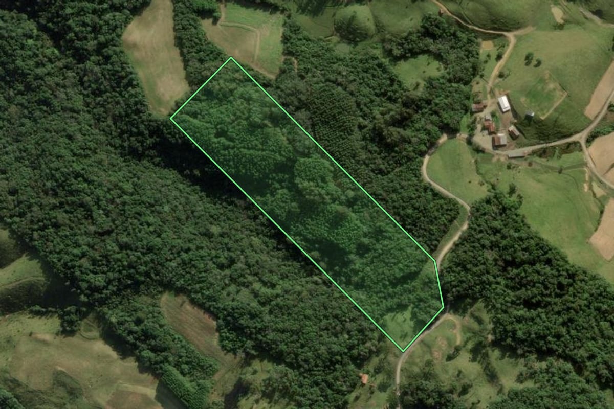 Imagem de satélite do imóvel rural em Rancho Queimado (SC), com o contorno declarado no CAR desenhado por cima.