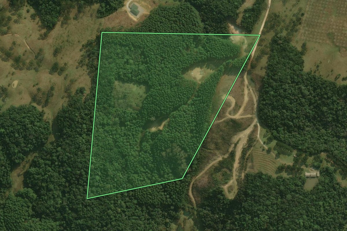 Imagem de satélite do imóvel rural em Rancho Queimado (SC), com o contorno declarado no CAR desenhado por cima.