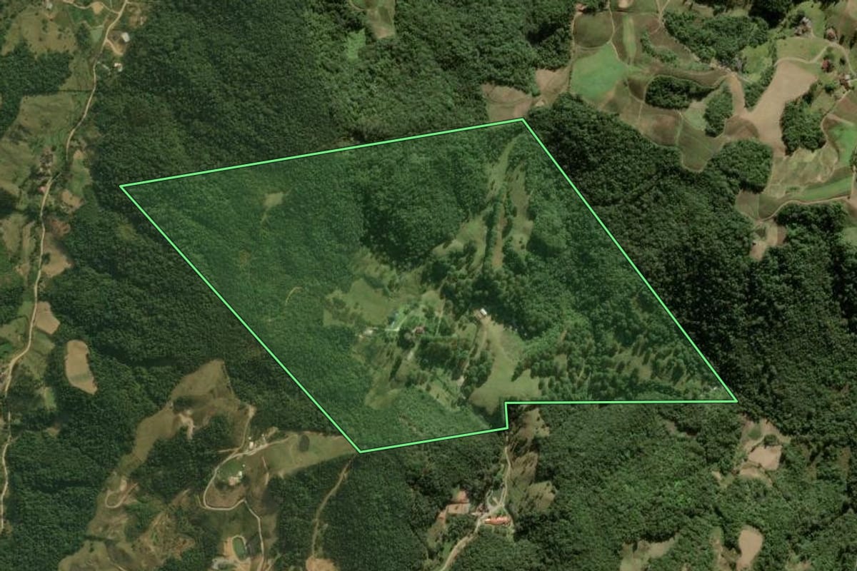 Imagem de satélite do imóvel rural em Rancho Queimado (SC), com o contorno declarado no CAR desenhado por cima.