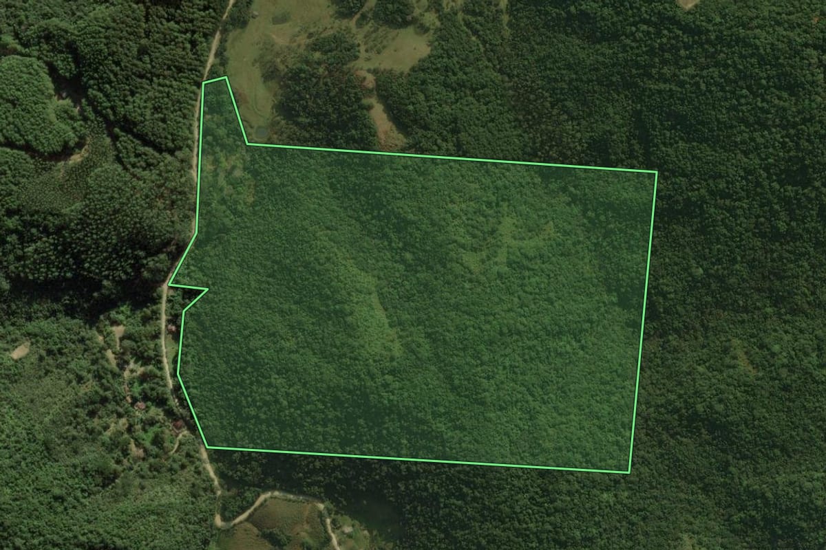 Imagem de satélite do imóvel rural em Rancho Queimado (SC), com o contorno declarado no CAR desenhado por cima.