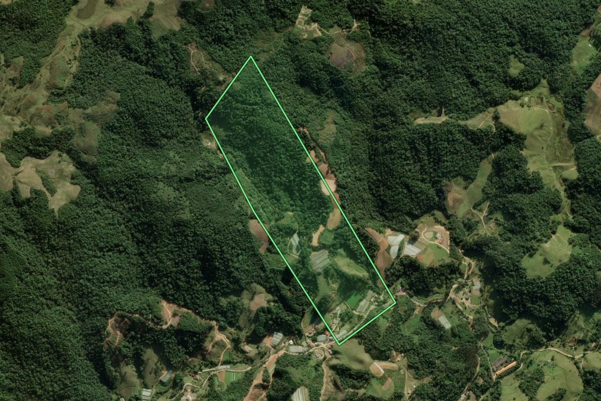Imagem de satélite do imóvel rural em Rancho Queimado (SC), com o contorno declarado no CAR desenhado por cima.