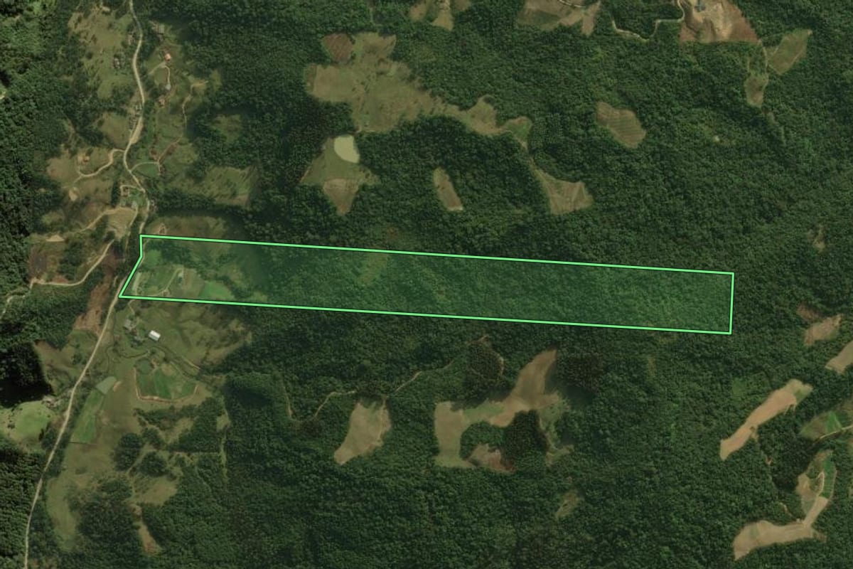 Imagem de satélite do imóvel rural em Rancho Queimado (SC), com o contorno declarado no CAR desenhado por cima.