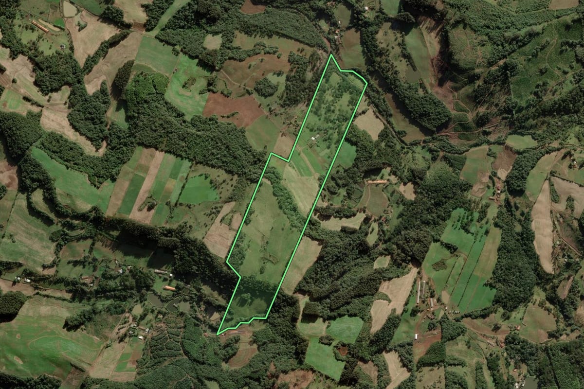 Imagem de satélite do imóvel rural em Rio das Antas (SC), com o contorno declarado no CAR desenhado por cima.