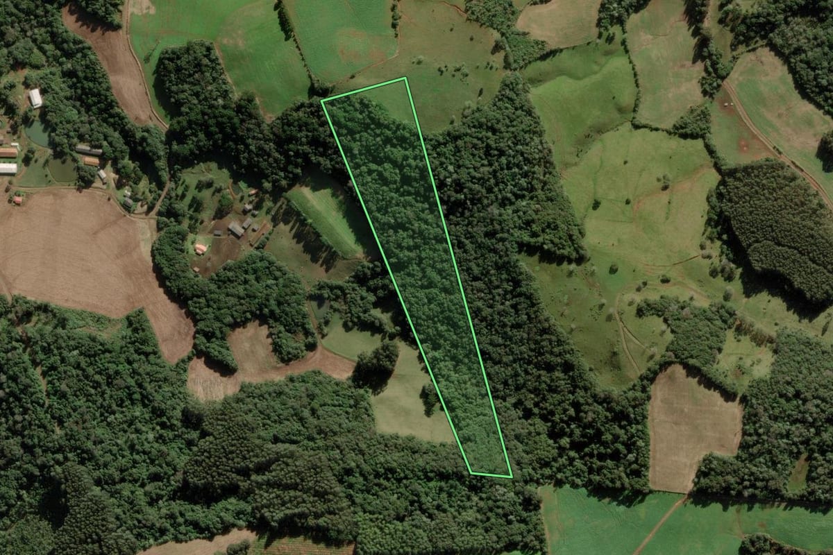 Imagem de satélite do imóvel rural em Rio das Antas (SC), com o contorno declarado no CAR desenhado por cima.
