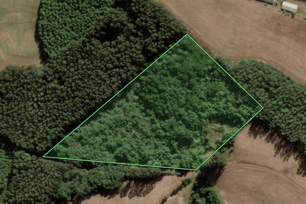 Imagem de satélite do imóvel rural em Rio das Antas (SC), com o contorno declarado no CAR desenhado por cima.