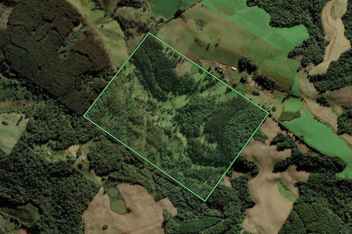 Imagem de satélite do imóvel rural em Rio das Antas (SC), com o contorno declarado no CAR desenhado por cima.