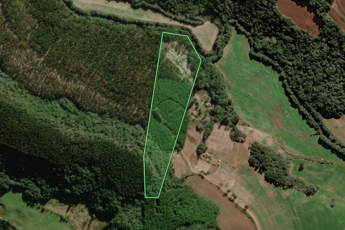 Imagem de satélite do imóvel rural em Rio das Antas (SC), com o contorno declarado no CAR desenhado por cima.