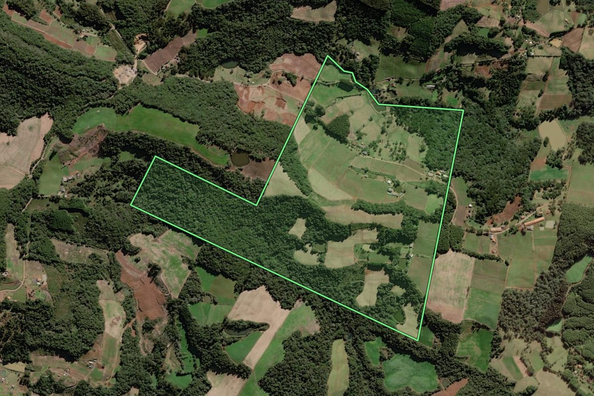 Imagem de satélite do imóvel rural em Rio das Antas (SC), com o contorno declarado no CAR desenhado por cima.
