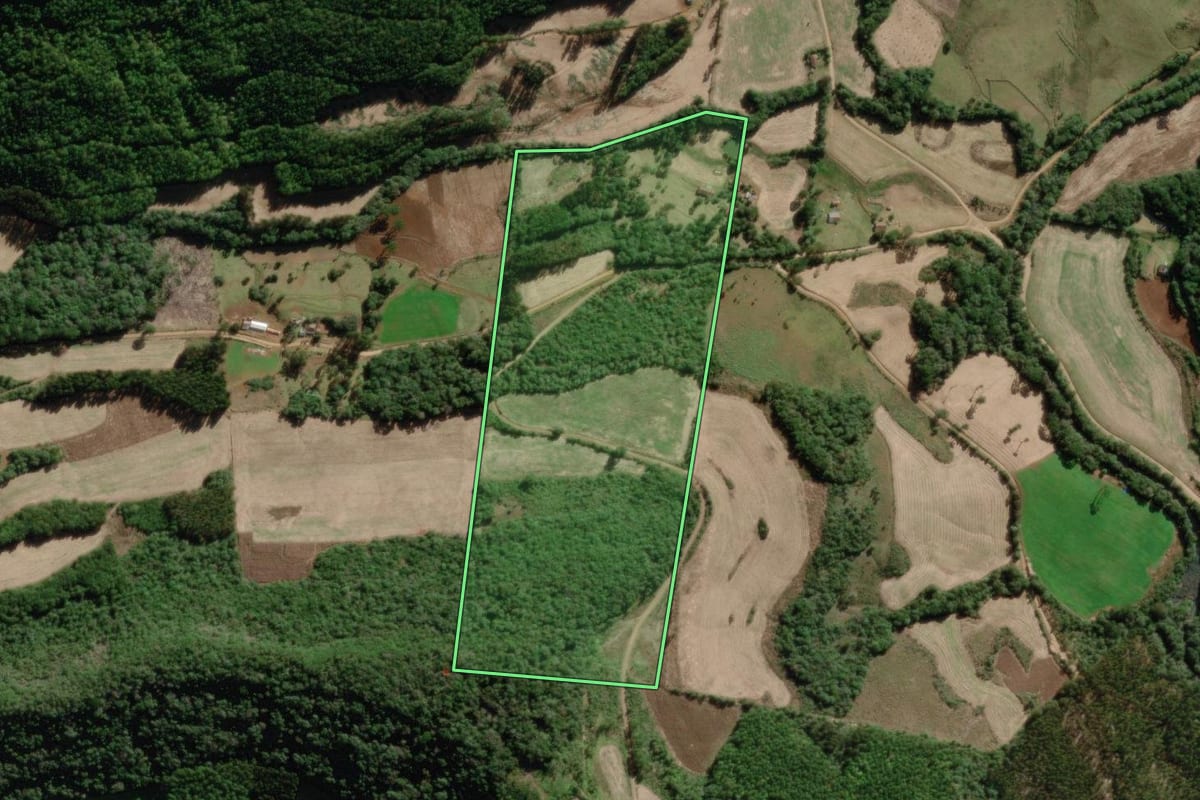Imagem de satélite do imóvel rural em Rio das Antas (SC), com o contorno declarado no CAR desenhado por cima.