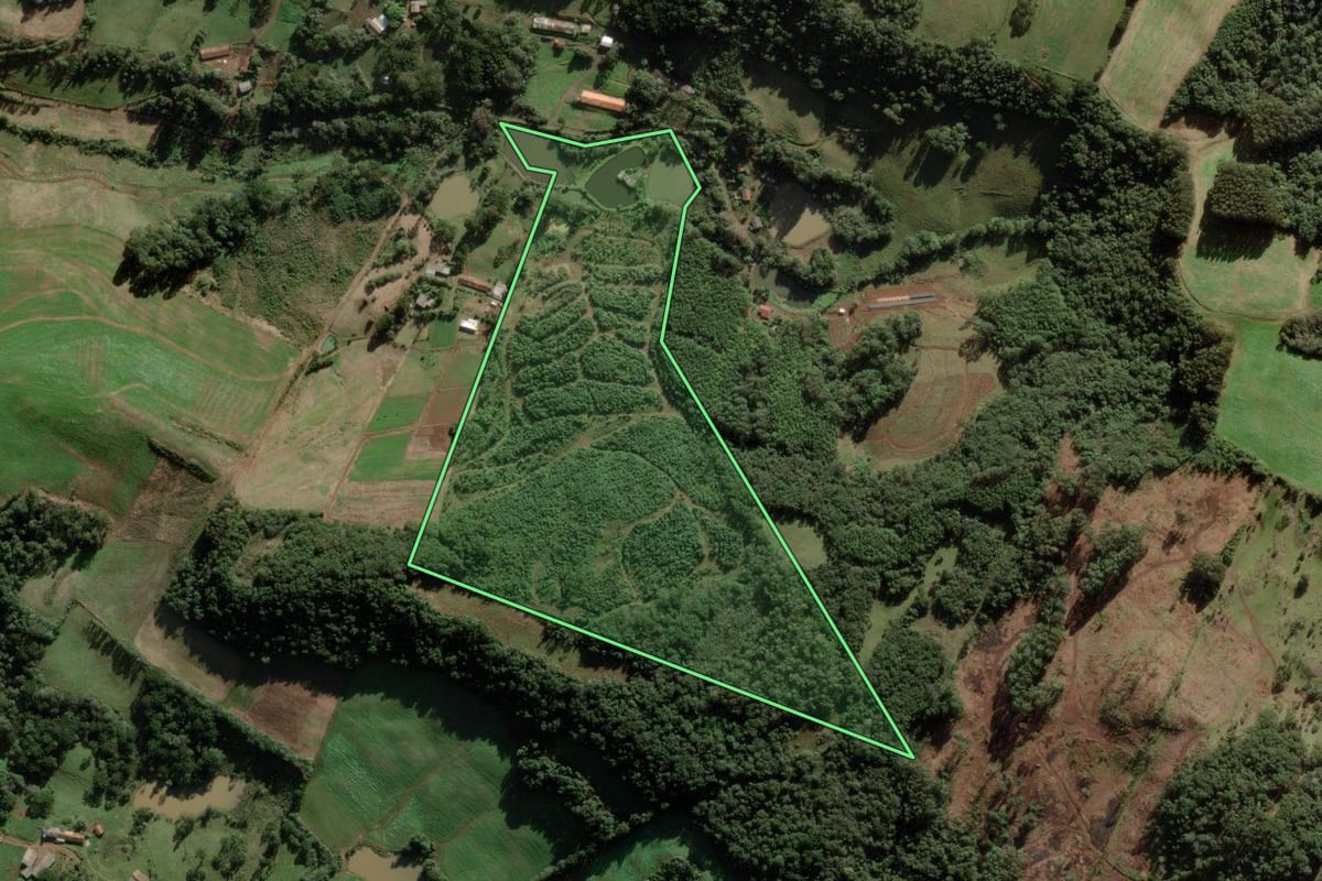 Imagem de satélite do imóvel rural em Rio das Antas (SC), com o contorno declarado no CAR desenhado por cima.