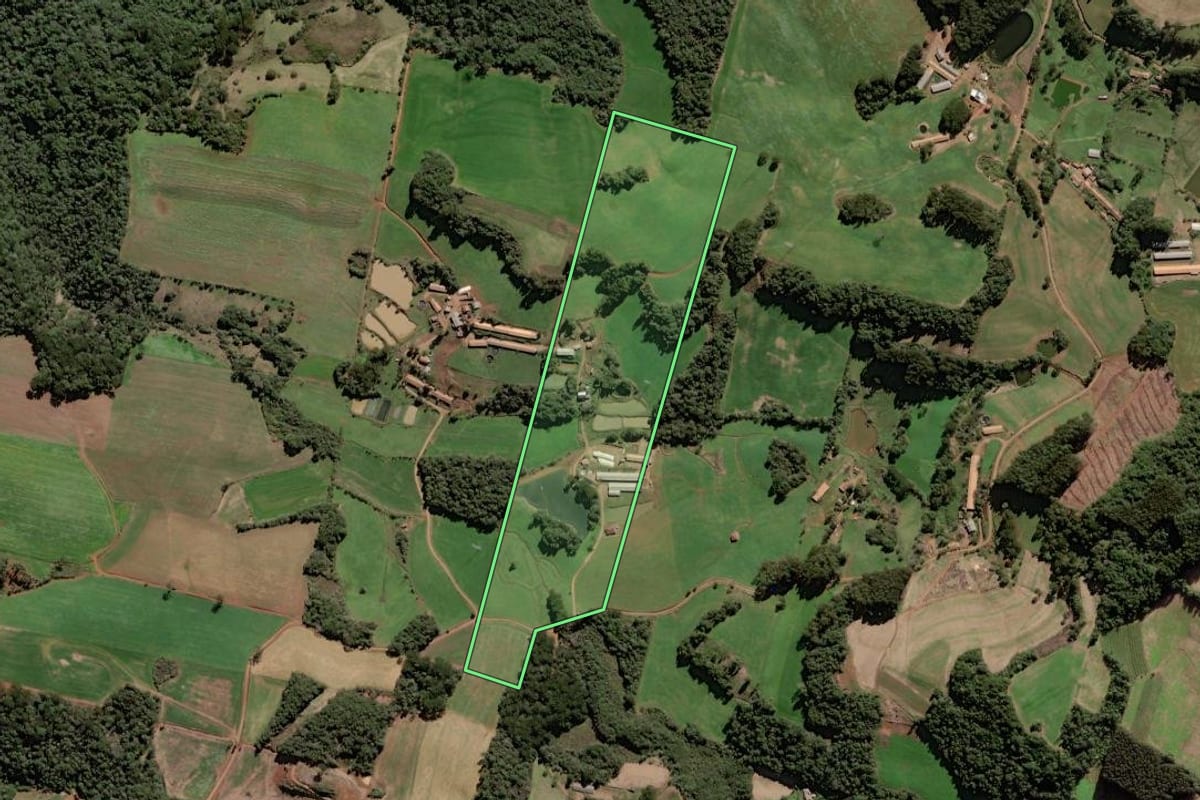 Imagem de satélite do imóvel rural em Rio das Antas (SC), com o contorno declarado no CAR desenhado por cima.