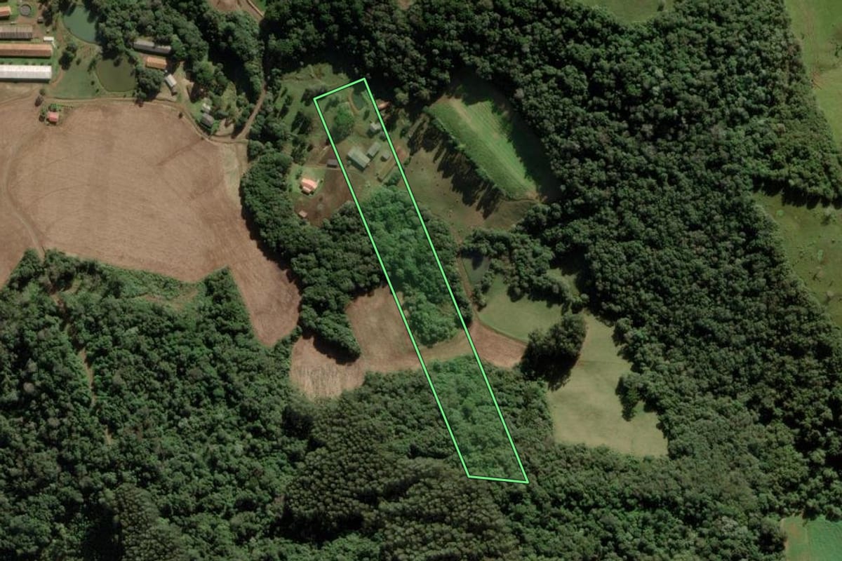 Imagem de satélite do imóvel rural em Rio das Antas (SC), com o contorno declarado no CAR desenhado por cima.