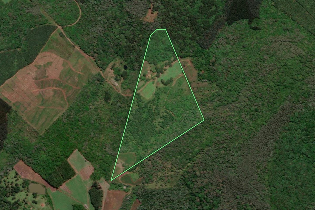 Imagem de satélite do imóvel rural em Rio das Antas (SC), com o contorno declarado no CAR desenhado por cima.