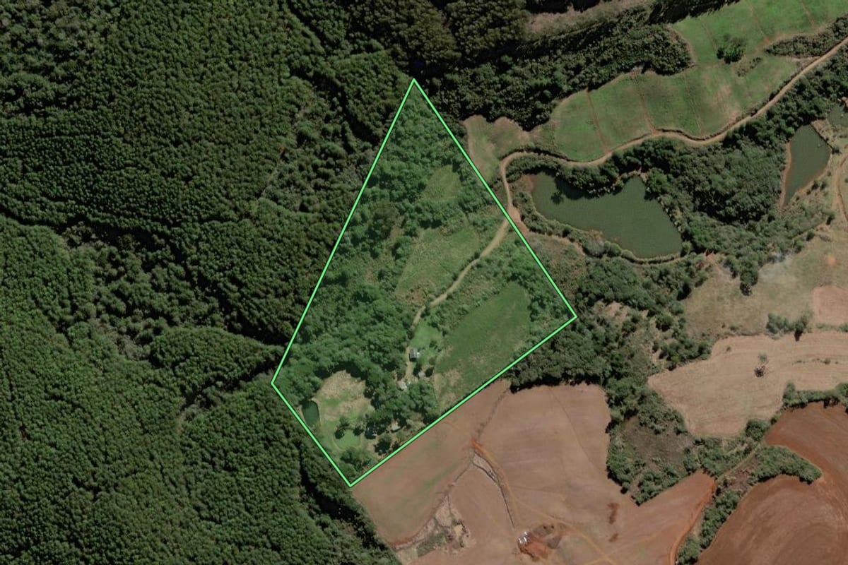 Imagem de satélite do imóvel rural em Rio das Antas (SC), com o contorno declarado no CAR desenhado por cima.