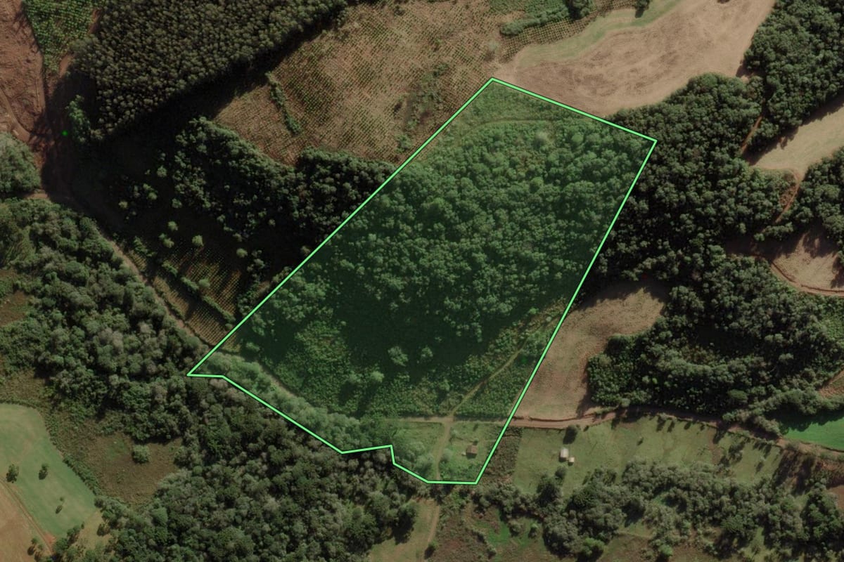 Imagem de satélite do imóvel rural em Rio das Antas (SC), com o contorno declarado no CAR desenhado por cima.