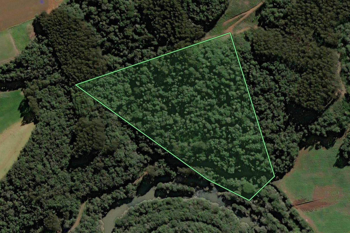 Imagem de satélite do imóvel rural em Rio das Antas (SC), com o contorno declarado no CAR desenhado por cima.