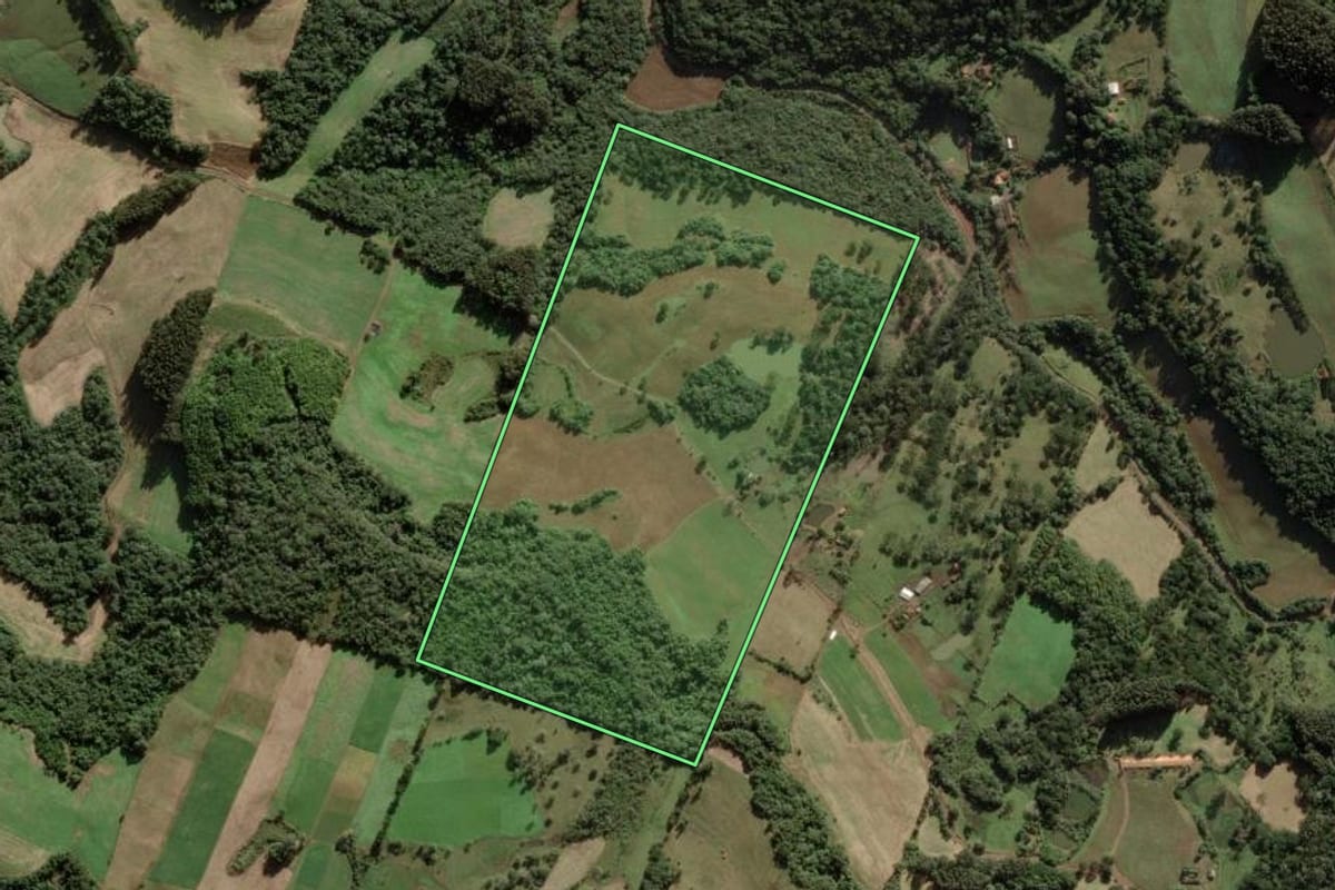 Imagem de satélite do imóvel rural em Rio das Antas (SC), com o contorno declarado no CAR desenhado por cima.