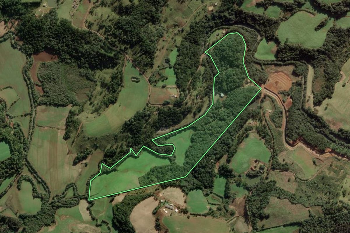 Imagem de satélite do imóvel rural em Rio das Antas (SC), com o contorno declarado no CAR desenhado por cima.