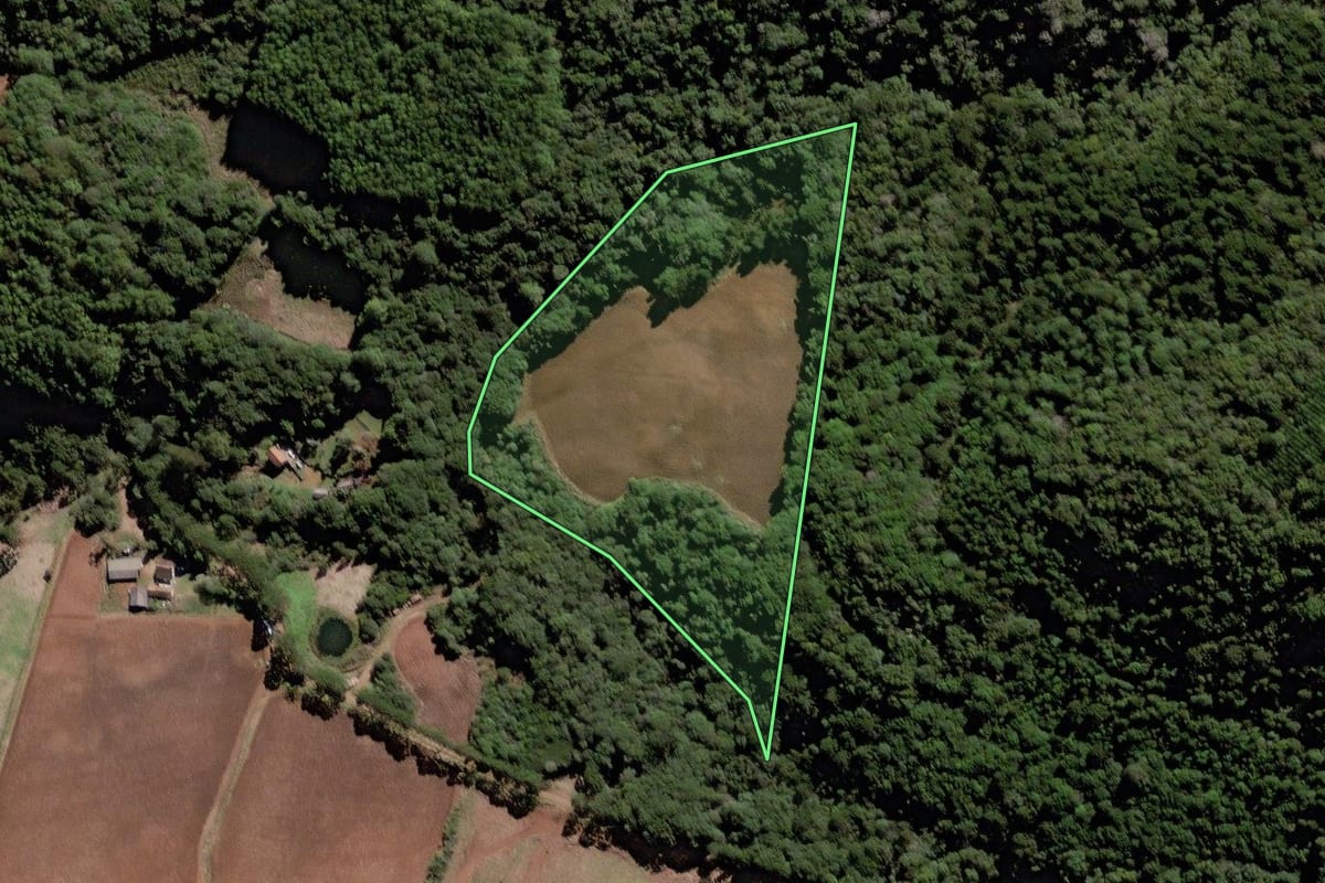 Imagem de satélite do imóvel rural em Rio das Antas (SC), com o contorno declarado no CAR desenhado por cima.