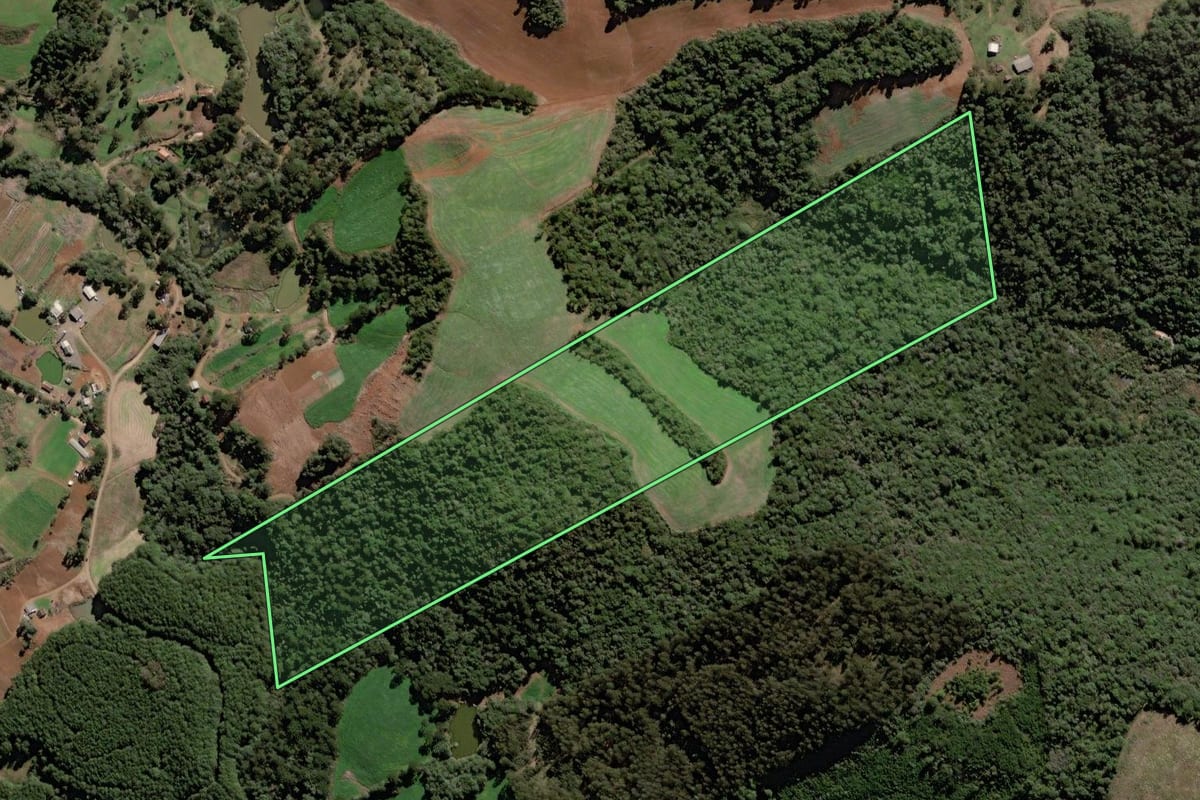 Imagem de satélite do imóvel rural em Rio das Antas (SC), com o contorno declarado no CAR desenhado por cima.
