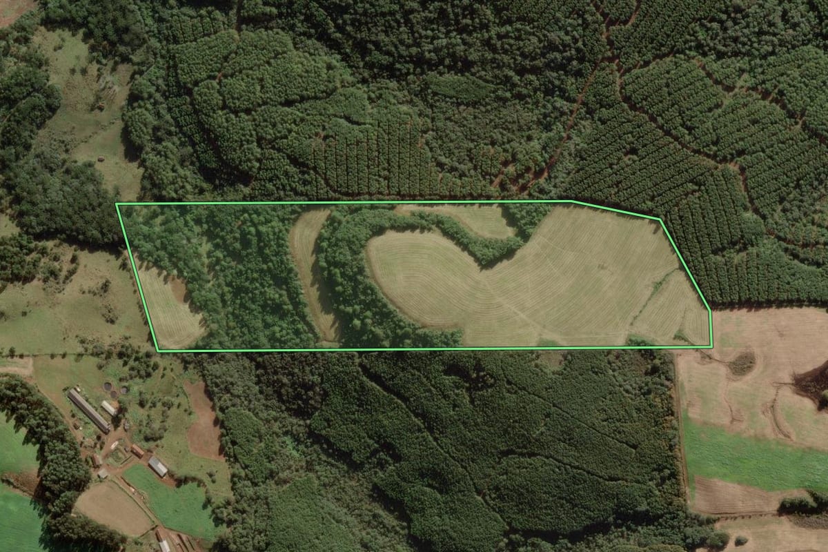 Imagem de satélite do imóvel rural em Rio das Antas (SC), com o contorno declarado no CAR desenhado por cima.