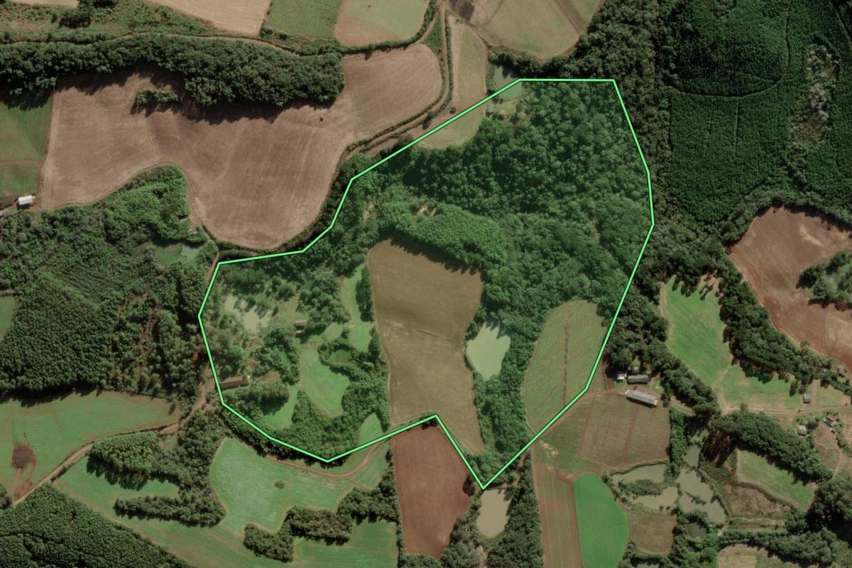 Imagem de satélite do imóvel rural em Rio das Antas (SC), com o contorno declarado no CAR desenhado por cima.