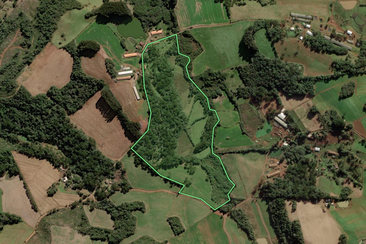 Imagem de satélite do imóvel rural em Rio das Antas (SC), com o contorno declarado no CAR desenhado por cima.