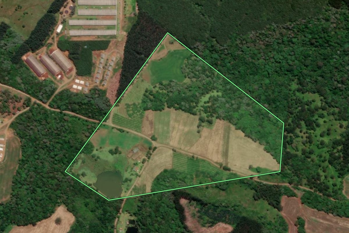 Imagem de satélite do imóvel rural em Rio das Antas (SC), com o contorno declarado no CAR desenhado por cima.