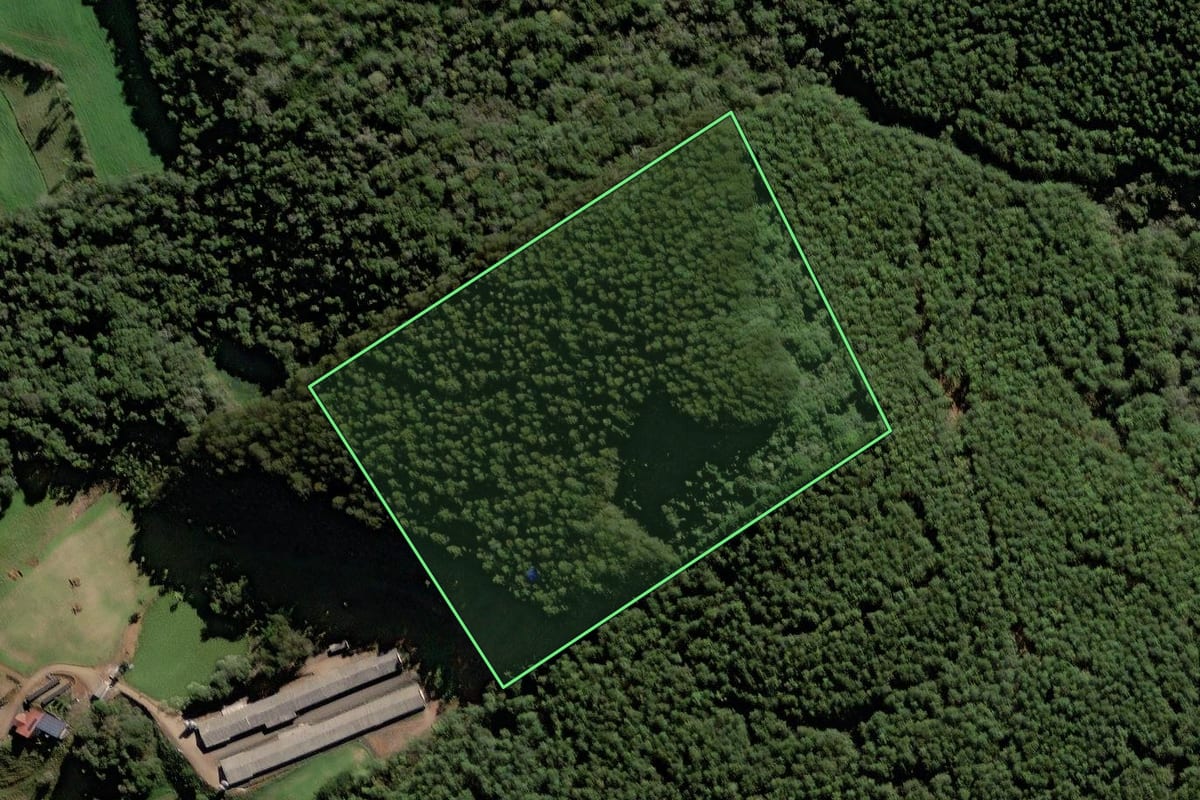 Imagem de satélite do imóvel rural em Rio das Antas (SC), com o contorno declarado no CAR desenhado por cima.