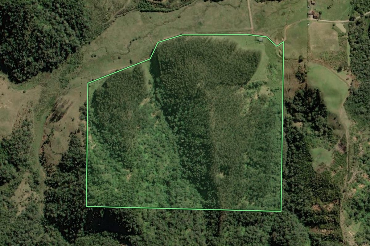 Imagem de satélite do imóvel rural em Rio do Campo (SC), com o contorno declarado no CAR desenhado por cima.